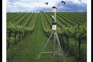 media\acfgallery\content\278\6\1_original